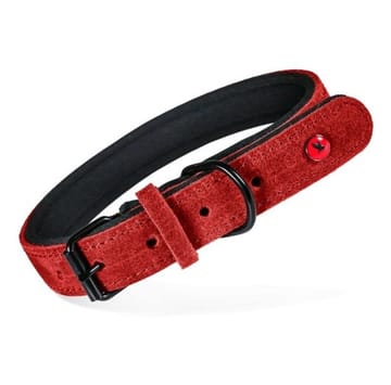 ZOLUX Komfort Odinė, raudona spalva – antkaklis šuniui – 30 cm