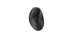 Gembird MUSW2-6B-02 Dviejų režimų belaidė pelė (2.4G + BT), 2400 DPI, 6 mygtukai, juoda 5