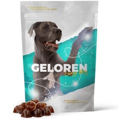 GELOREN Large dog Joints - šunų vitaminai - 420g 1