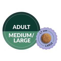 ADDVENA Taste Sensations Adult Medium/Large Turkey - sausas maistas šunims - 10kg 3
