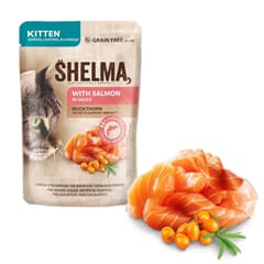SHELMA Kitten with salmon in sauce - šlapias kačių maistas - 85g 3