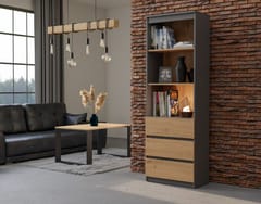 Topeshop RS-60 ANT/ART KPL knygų lentyna biurui 2