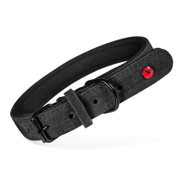 ZOLUX Komfort Odinė, juoda spalva – antkaklis šuniui – 35 cm