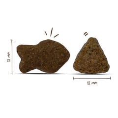 BOSCH Adult Salmon & Potato - sausas maistas šunims - 3kg 2