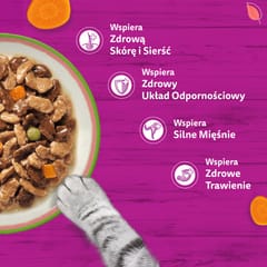 WHISKAS Tasty Mix šefo pasirinkimas padaže – šlapias kačių ėdalas – 40x85g 4