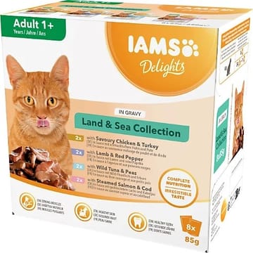 IAMS DELIGHTS Land & Sea Collection in Gravy box – šlapias pašaras katei – 8x85g