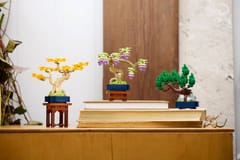 LEGO BOTANICALS 10373 Mini bonsai medeliai 4