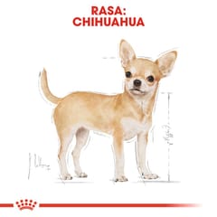 ROYAL CANIN BHN Čihuahua suaugusių šunų sausas maistas - 1,5 kg 3
