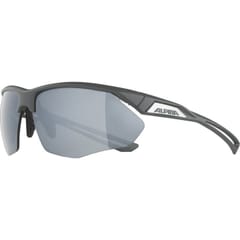 Alpina Nylos HR Akiniai nuo saulės katė. 3 Grey 3