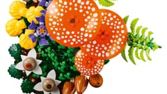 LEGO BOTANICALS 11505 Miško grybai 5