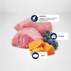 Šlapias šunų maistas - FARMINA N&D DOG LAMB&PUMPKIN&BLUEBERRY PUPPY 285g 5