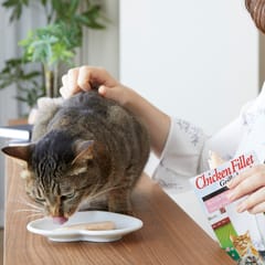INABA Grilled Chicken Fillet in chicken flavored broth - skanėstas katėms - 25 g 5
