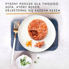 PURINA Gourmet Gold Savoury cake - šlapias kačių maistas - 48x85g 8