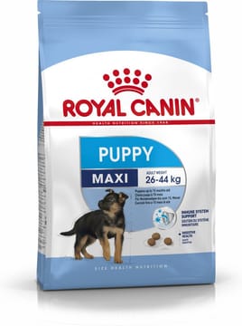 Royal Canin SHN Maxi Puppy - sausas maistas šuniukams - 4kg