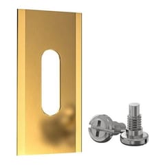 Automatinės vejapjovės peiliukai, 35x18x0,6 mm, padengti titanu, 30vnt.