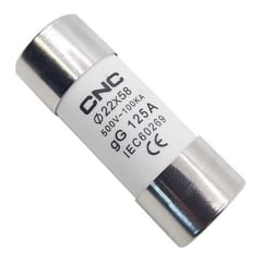 Saugiklis, 500 V, gG 125 A, 22x58 mm
