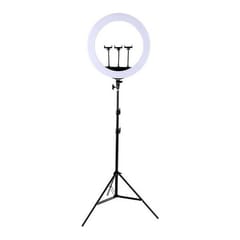 LED žiedinė lempa 45cm, su trikoju stovu iki 2.1m