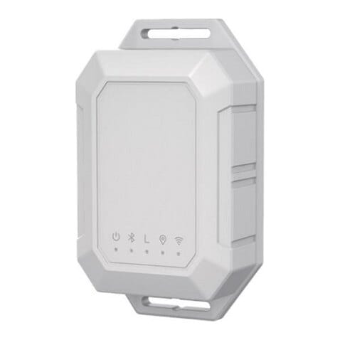 GPS sekimo įrenginys, LoRaWan tinkle