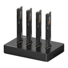 Docking Station 4x M.2 NVME SSD, iki 10Gbps/SSD